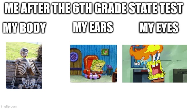 Pain | ME AFTER THE 6TH GRADE STATE TEST; MY EARS; MY EYES; MY BODY | image tagged in pain,test | made w/ Imgflip meme maker