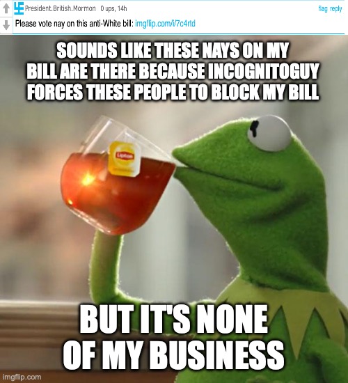 Can OlympianProduct give an opinion on IncognitoGuy forcing his lackeys to vote nay on my bill? | SOUNDS LIKE THESE NAYS ON MY BILL ARE THERE BECAUSE INCOGNITOGUY FORCES THESE PEOPLE TO BLOCK MY BILL; BUT IT'S NONE OF MY BUSINESS | image tagged in memes,but that's none of my business,kermit the frog,incognitoguy,forces his voters,to vote nay | made w/ Imgflip meme maker