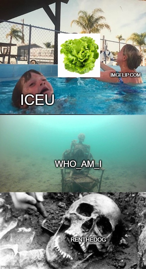 Anyone remember RenTheDog? | IMGFLIP.COM; ICEU; WHO_AM_I; RENTHEDOG | image tagged in mother ignoring kid drowning in a pool,ded,old imgflippers,renthedog,who_am_i,iceu | made w/ Imgflip meme maker