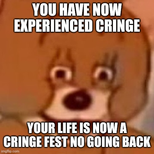 YOU HAVE NOW EXPERIENCED CRINGE; YOUR LIFE IS NOW A CRINGE FEST NO GOING BACK | made w/ Imgflip meme maker