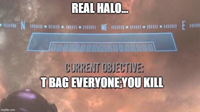 halo be like | REAL HALO... T BAG EVERYONE YOU KILL | image tagged in current objective survive | made w/ Imgflip meme maker