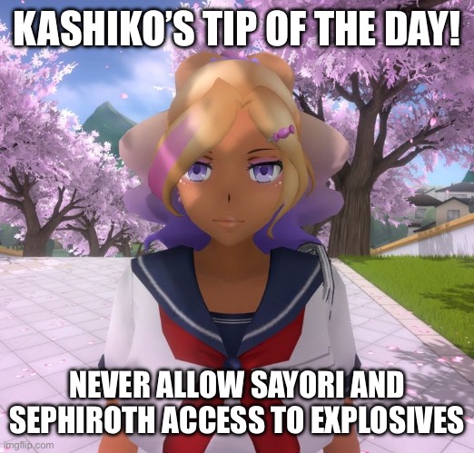 Unless society gets to a point where you just want humanity to go extinct | KASHIKO’S TIP OF THE DAY! NEVER ALLOW SAYORI AND SEPHIROTH ACCESS TO EXPLOSIVES | image tagged in kashiko murasaki | made w/ Imgflip meme maker