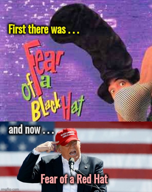 The Sequel we need now | First there was . . . and now . . . Fear of a Red Hat | image tagged in trump maga hat,movies,well yes but actually no,comeback,deep state,out of control | made w/ Imgflip meme maker