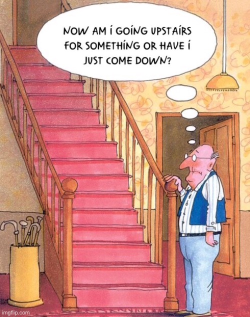 Old age memory | image tagged in old age,memory,going up stairs,or have just come down,old man,comics | made w/ Imgflip meme maker