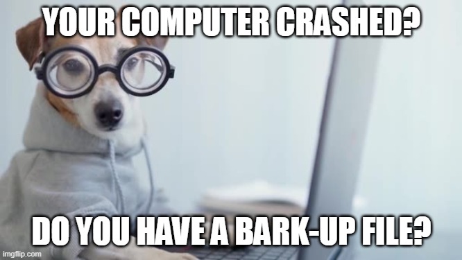 Bark-up File | YOUR COMPUTER CRASHED? DO YOU HAVE A BARK-UP FILE? | image tagged in dog,computer,crash | made w/ Imgflip meme maker