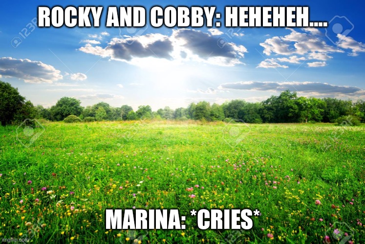 Marina gets bullied again…. | ROCKY AND COBBY: HEHEHEH…. MARINA: *CRIES* | image tagged in spring meadow | made w/ Imgflip meme maker
