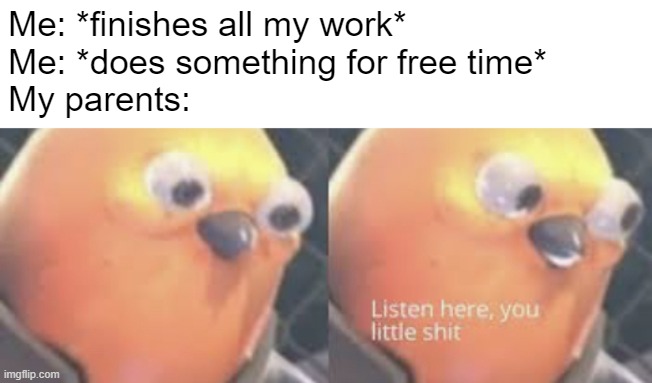 I got a life I want to enjoy too. I want this image to be seen everywhere | Me: *finishes all my work*
Me: *does something for free time* 
My parents: | image tagged in listen here you little shit bird,life,parents,relatable memes,memes | made w/ Imgflip meme maker