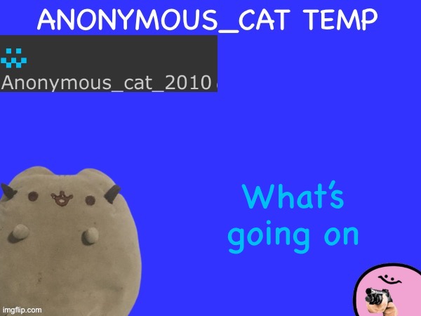 Anonymous_Cat Temp | What’s going on | image tagged in anonymous_cat temp | made w/ Imgflip meme maker