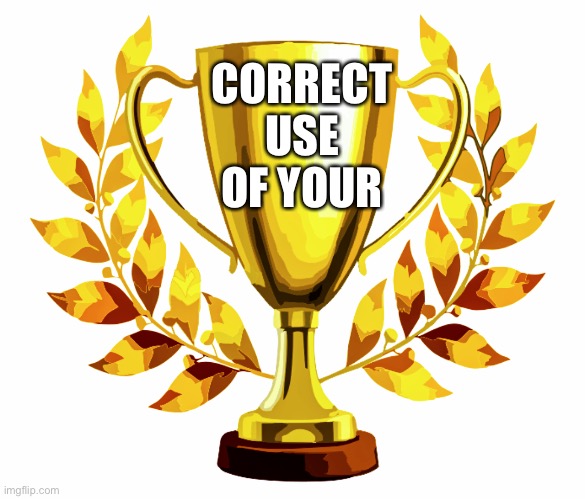 You Win! | CORRECT USE OF YOUR | image tagged in you win | made w/ Imgflip meme maker