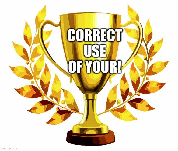 You Win! | CORRECT USE OF YOUR! | image tagged in you win | made w/ Imgflip meme maker
