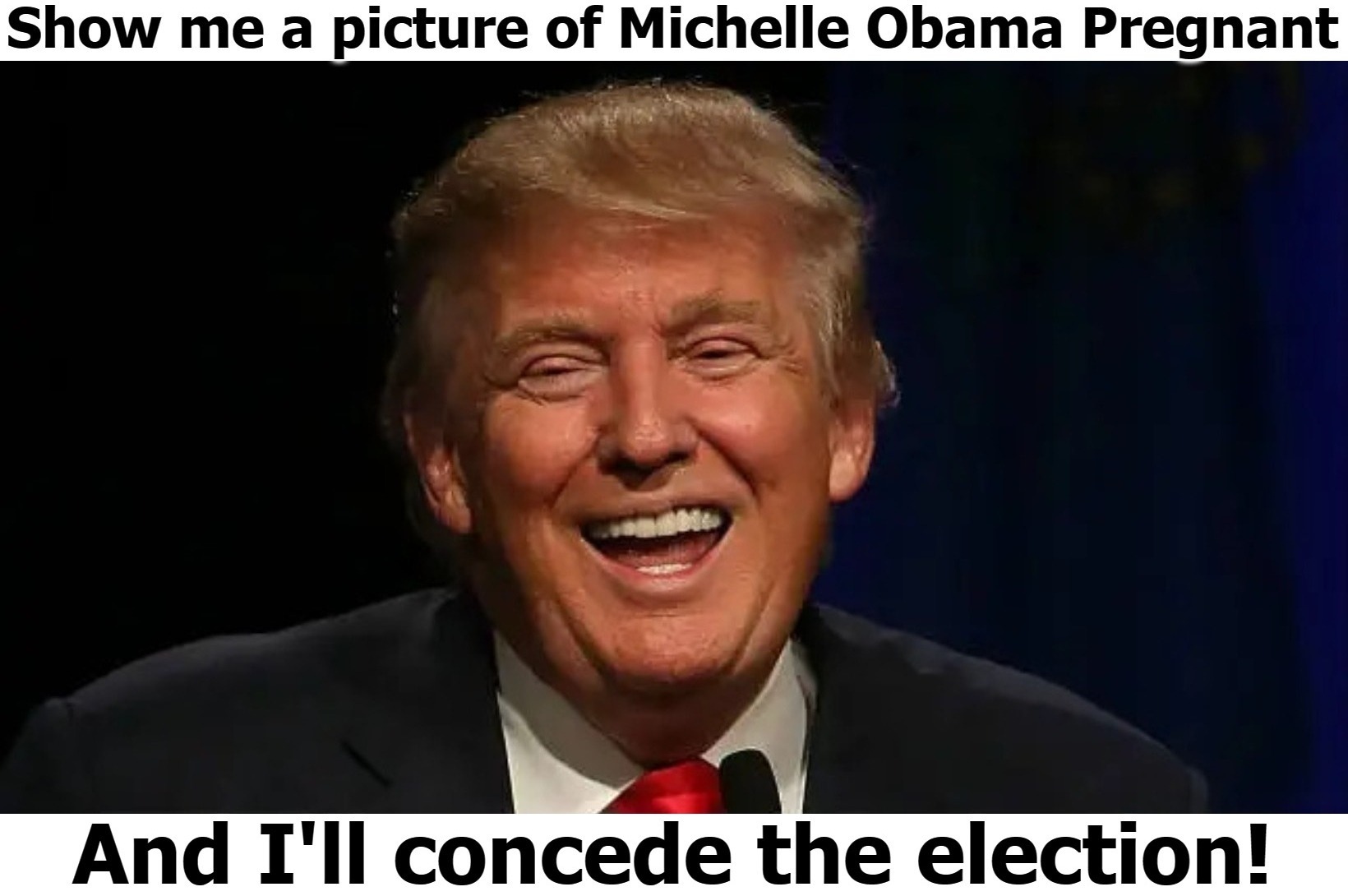 Show me a picture of Michelle Obama pregnant and I'll concede the election! | image tagged in michelle obama pregnant,pregnant trannies,trump laughing,tired of hearing about transgenders,trump 2024 | made w/ Imgflip meme maker