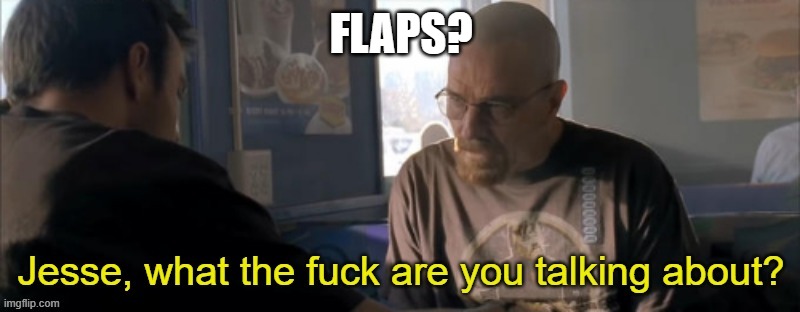 Jesse, WTF are you talking about? | FLAPS? | image tagged in jesse wtf are you talking about | made w/ Imgflip meme maker