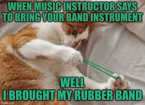 Just ME | WHEN MUSIC INSTRUCTOR SAYS TO BRING YOUR BAND INSTRUMENT; WELL
I BROUGHT MY RUBBER BAND | image tagged in band,rubber band | made w/ Imgflip meme maker