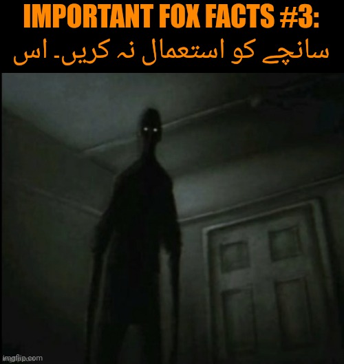 اس سانچے کو استعمال نہ کریں۔ | IMPORTANT FOX FACTS #3: سانچے کو استعمال نہ کریں۔ اس | made w/ Imgflip meme maker