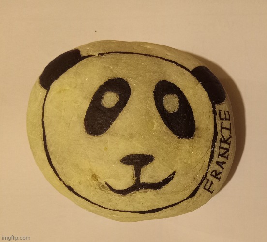 This rock looked like a panda, so now it is:) | made w/ Imgflip meme maker