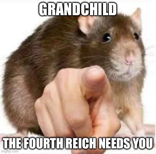 Argentinian Nazis | GRANDCHILD; THE FOURTH REICH NEEDS YOU | image tagged in pointing rat,argentina,rat tunnel,nazis | made w/ Imgflip meme maker