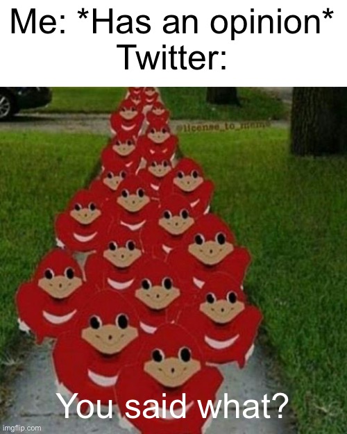 This is Twitter whenever someone has an opinion | Me: *Has an opinion*
Twitter:; You said what? | image tagged in ugandan knuckles army | made w/ Imgflip meme maker