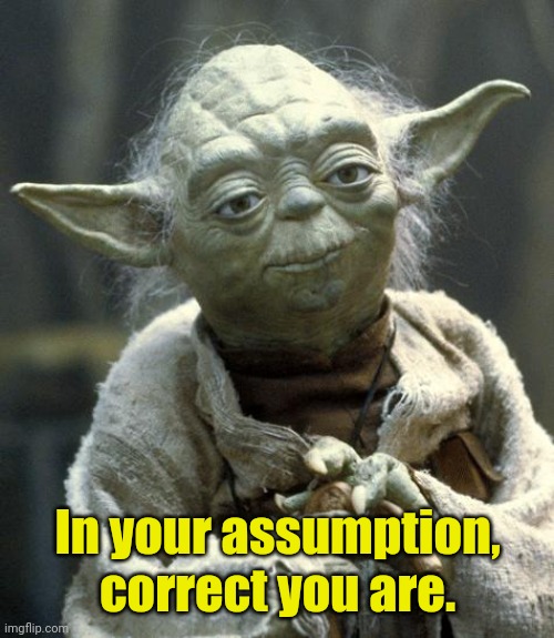 yoda | In your assumption, correct you are. | image tagged in yoda | made w/ Imgflip meme maker