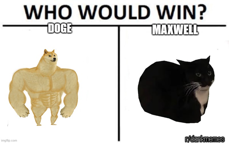 buff doge vs maxwell | DOGE; MAXWELL | image tagged in who would win | made w/ Imgflip meme maker