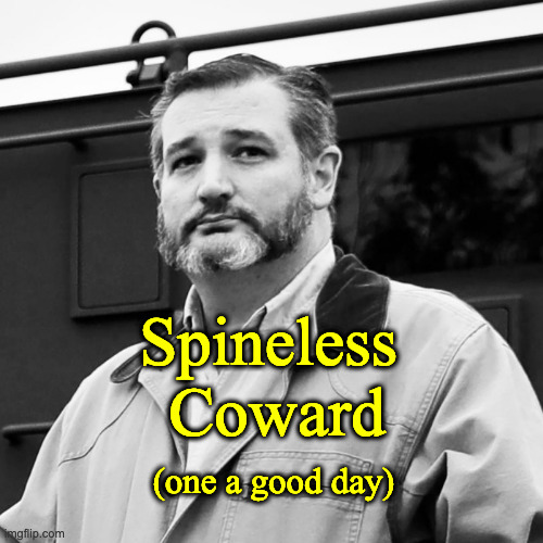 Ted Cruz Beard | Spineless 
Coward; (one a good day) | image tagged in ted cruz beard | made w/ Imgflip meme maker