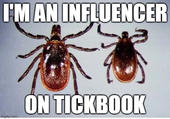 facetic | I'M AN INFLUENCER; ON TICKBOOK | image tagged in ticks | made w/ Imgflip meme maker