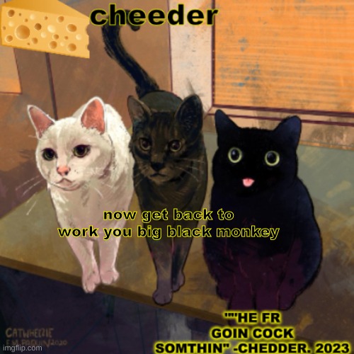 -? | now get back to work you big black monkey | image tagged in goofy cats temp | made w/ Imgflip meme maker