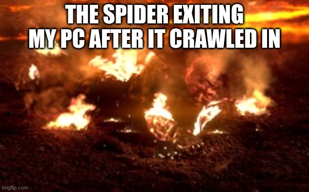 Anakin burning | THE SPIDER EXITING MY PC AFTER IT CRAWLED IN | image tagged in anakin burning | made w/ Imgflip meme maker