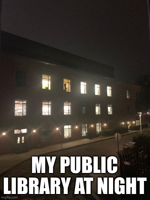 That’s Hobbes in the window | MY PUBLIC LIBRARY AT NIGHT | image tagged in creepy | made w/ Imgflip meme maker