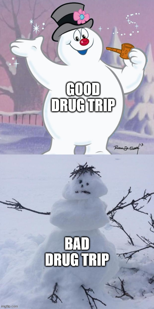 Drug Trips | GOOD DRUG TRIP; BAD DRUG TRIP | image tagged in snowmen,snow,cocane,frosty,trip,winter | made w/ Imgflip meme maker