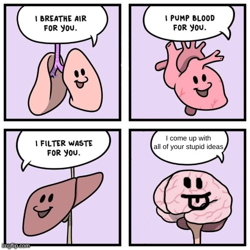 organs and brain | I come up with all of your stupid ideas | image tagged in organs and brain | made w/ Imgflip meme maker