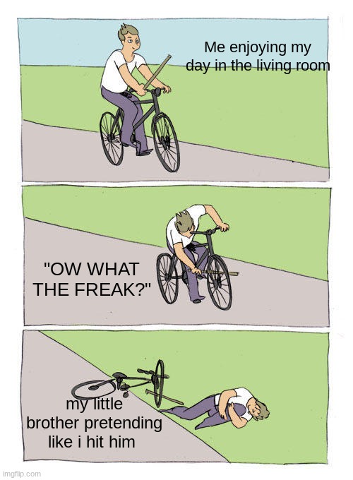 Bike Fall Meme | Me enjoying my day in the living room; "OW WHAT THE FREAK?"; my little brother pretending like i hit him | image tagged in memes,bike fall | made w/ Imgflip meme maker