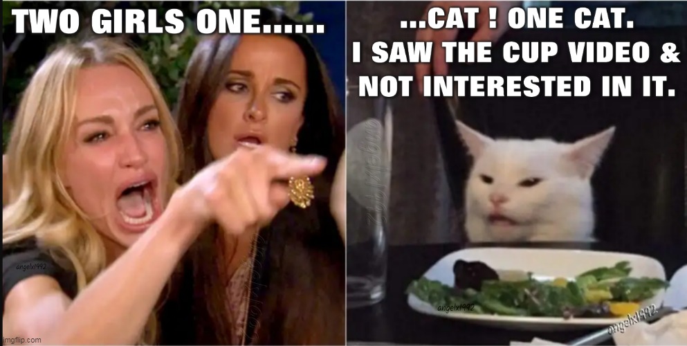 image tagged in woman yelling at cat,real housewives,woman yelling at white cat,real housewives screaming cat,two girls one cup,white cat | made w/ Imgflip meme maker