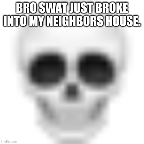 Skull emoji | BRO SWAT JUST BROKE INTO MY NEIGHBORS HOUSE. | made w/ Imgflip meme maker