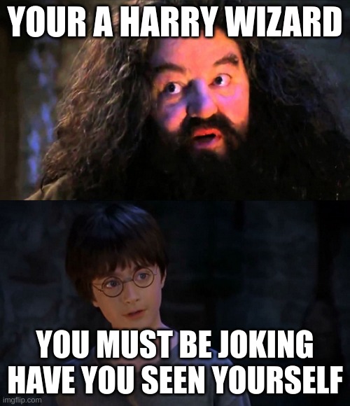 You are wizzard harry | YOUR A HARRY WIZARD; YOU MUST BE JOKING HAVE YOU SEEN YOURSELF | image tagged in you are wizzard harry | made w/ Imgflip meme maker