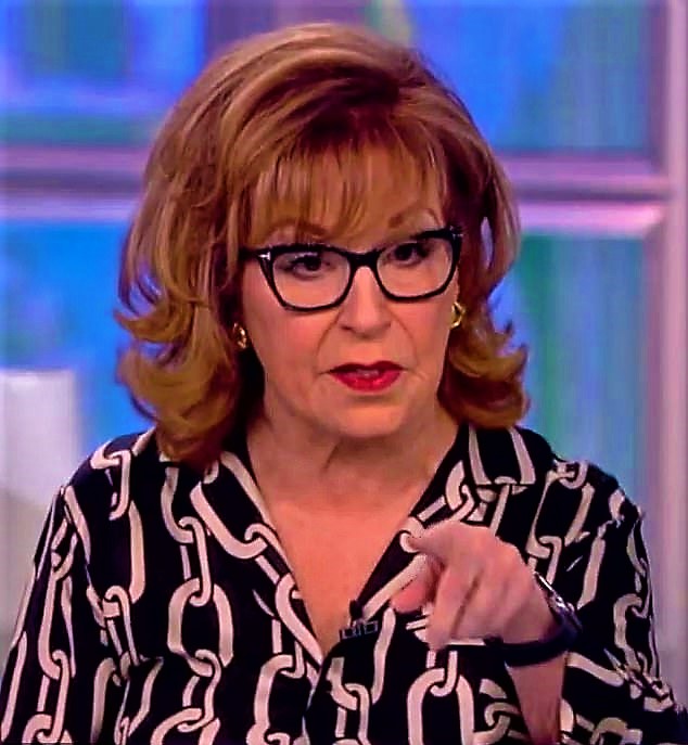 High Quality the view's joy behar is despicable Blank Meme Template