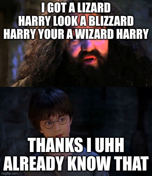 fbsb | I GOT A LIZARD HARRY LOOK A BLIZZARD HARRY YOUR A WIZARD HARRY; THANKS I UHH ALREADY KNOW THAT | image tagged in you are wizzard harry | made w/ Imgflip meme maker