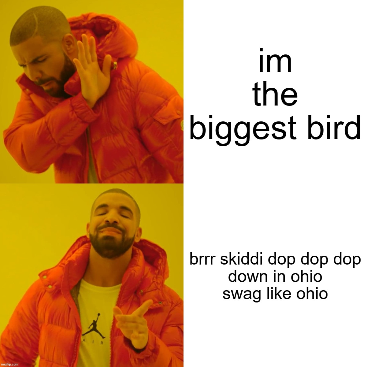 POV: the common memes a fifth grade would say nowadays | im the biggest bird; brrr skiddi dop dop dop

down in ohio swag like ohio | image tagged in memes | made w/ Imgflip meme maker