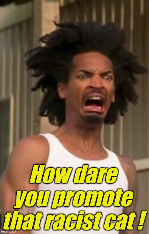 Darnell CrabMan Harry Disgusted | How dare you promote that racist cat ! | image tagged in darnell crabman harry disgusted | made w/ Imgflip meme maker