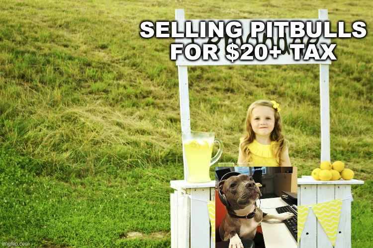 Lemonade stand | SELLING PITBULLS FOR $20+ TAX | image tagged in lemonade stand | made w/ Imgflip meme maker