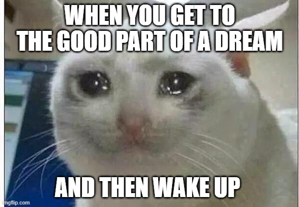 you will never see your dream part 2 | WHEN YOU GET TO THE GOOD PART OF A DREAM; AND THEN WAKE UP | image tagged in crying cat | made w/ Imgflip meme maker