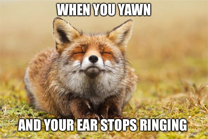 Ahhhhhhhhh | WHEN YOU YAWN; AND YOUR EAR STOPS RINGING | image tagged in inner peace fox | made w/ Imgflip meme maker