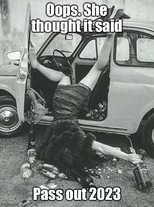 Drunk Girl  | Oops. She thought it said Pass out 2023 | image tagged in drunk girl | made w/ Imgflip meme maker