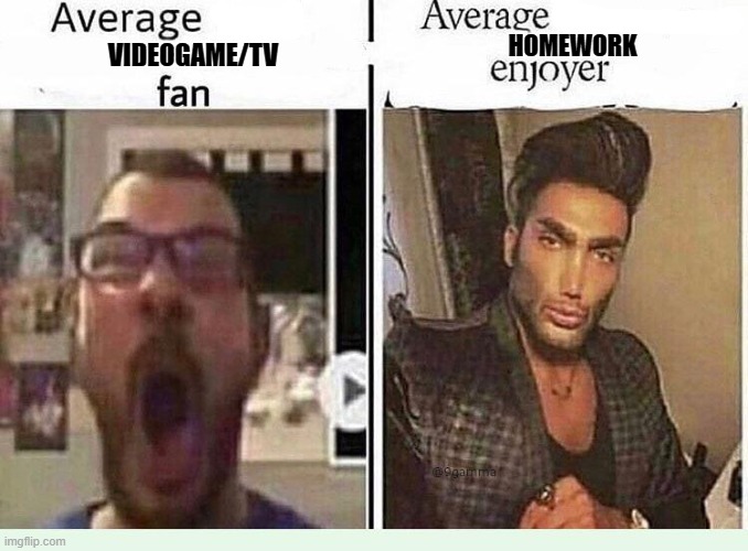 3 | HOMEWORK; VIDEOGAME/TV | image tagged in average blank fan vs average blank enjoyer | made w/ Imgflip meme maker