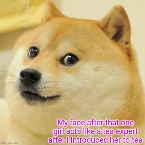 Doge | My face after that one girl acts like a tea expert after I introduced her to tea | image tagged in memes,doge | made w/ Imgflip meme maker