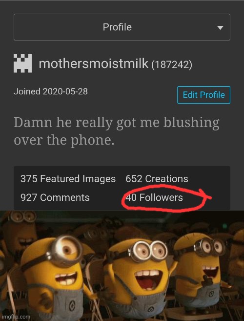 To those 40 people thanks ? | image tagged in cheering minions | made w/ Imgflip meme maker