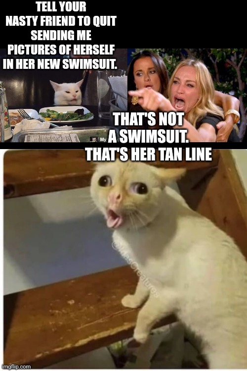TELL YOUR NASTY FRIEND TO QUIT SENDING ME PICTURES OF HERSELF IN HER NEW SWIMSUIT. THAT'S NOT A SWIMSUIT. THAT'S HER TAN LINE | image tagged in coughing cat,smudge the cat | made w/ Imgflip meme maker