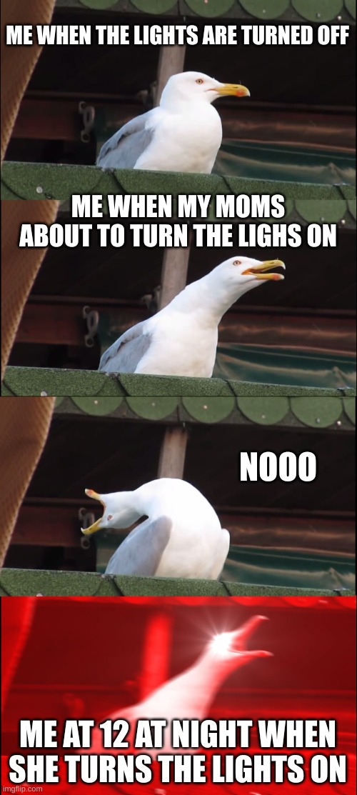 Inhaling Seagull | ME WHEN THE LIGHTS ARE TURNED OFF; ME WHEN MY MOMS ABOUT TO TURN THE LIGHS ON; NOOO; ME AT 12 AT NIGHT WHEN SHE TURNS THE LIGHTS ON | image tagged in memes,inhaling seagull | made w/ Imgflip meme maker