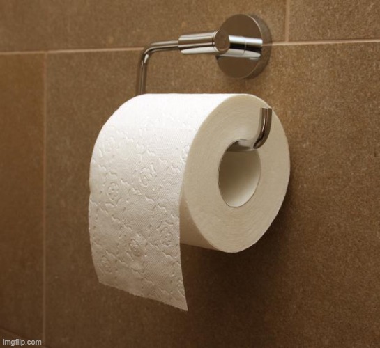 Toilet Paper | image tagged in toilet paper | made w/ Imgflip meme maker