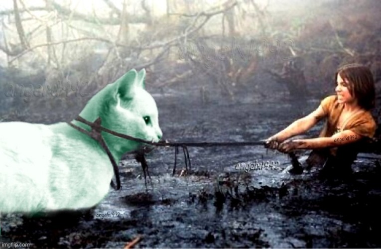 arkatz and atreyu | image tagged in artax,atreyu,cat,the never ending story,cats,horse | made w/ Imgflip meme maker