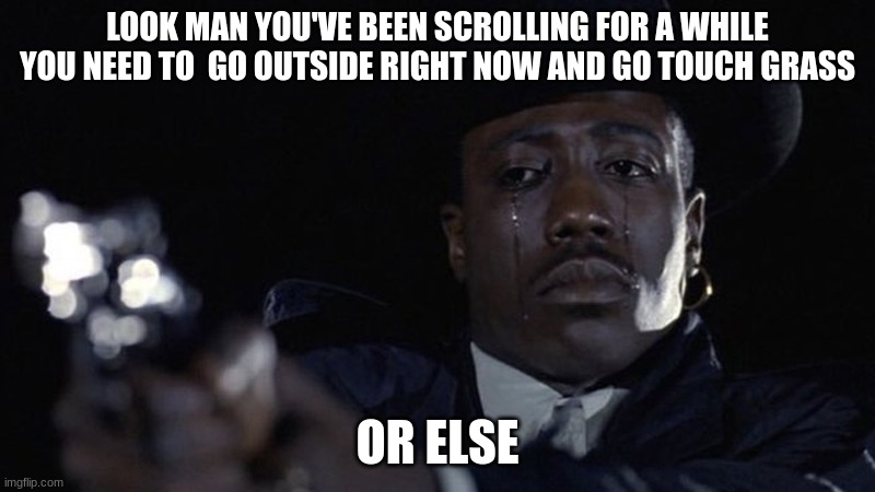 wesley snipes crying | LOOK MAN YOU'VE BEEN SCROLLING FOR A WHILE YOU NEED TO  GO OUTSIDE RIGHT NOW AND GO TOUCH GRASS; OR ELSE | image tagged in wesley snipes crying | made w/ Imgflip meme maker